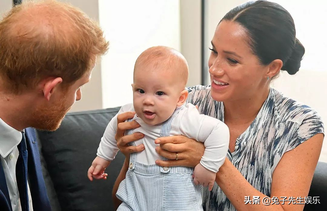 阿奇1岁照片大全,阿奇新照片