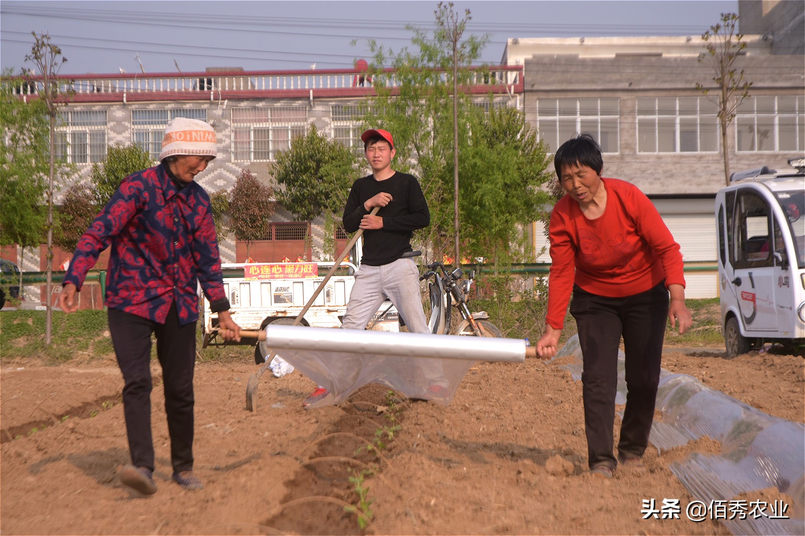 承包农田种黄豆和小麦能赚钱吗,一亩田种植农作物的利润