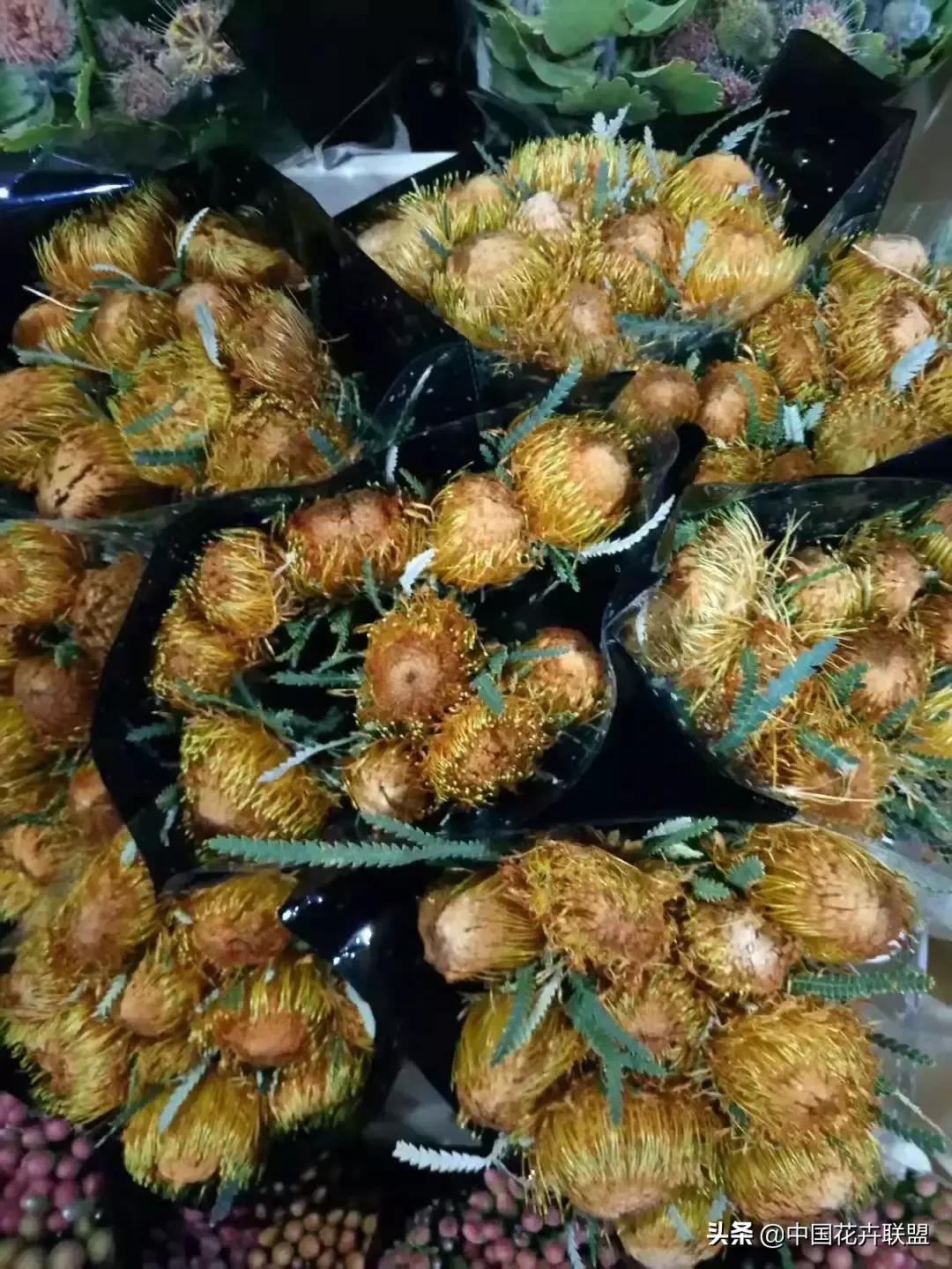 春天花市有哪些花材,便宜又大把的花材有哪些