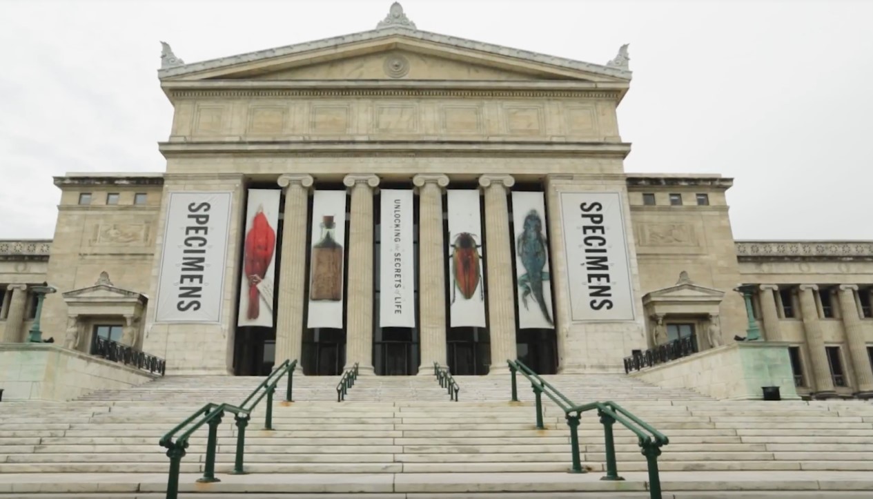 把电梯玩出新花样的视频,电梯玩出新花样