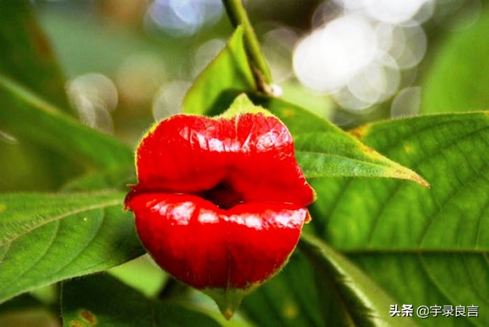 句句入骨的人生感悟个性签名,个性签名人生感悟短句