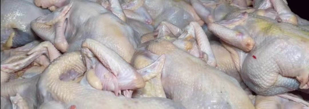 河南大哥专业*鸡做**20年,30元一只方圆几里独一家一天200只不够卖