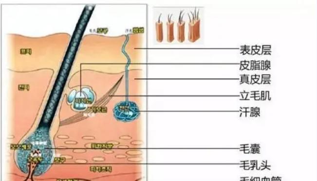 大油田男士控油补水护肤品推荐,大油田痘痘肌男士