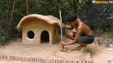 花三年建宠物乐园,花20万给狗打造乐园