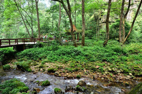 去湖南张家界旅游攻略,长沙张家界凤凰古城四天三晚攻略