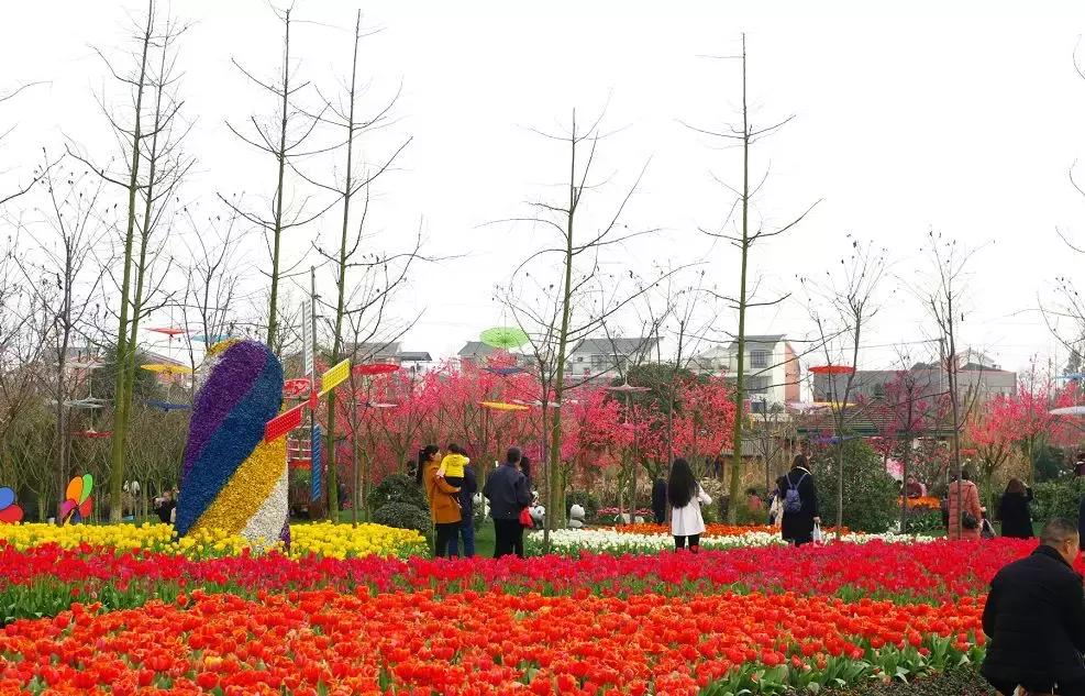 几十块钱玩一天,几十块钱玩一天天津