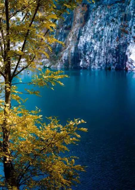 亚洲宜居城市排名2019,中国唯一一个国际评选的宜居城市