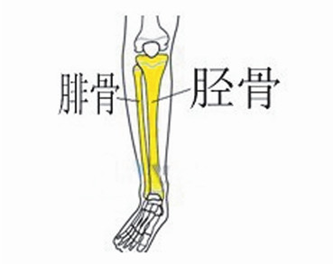 夜里睡觉小腿老是抽筋怎么办,左小腿腹部为何睡眠会抽筋麻痹