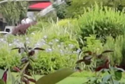 浣宠兘powershotg5xmarkii缂虹偣,浣宠兘powershotg5xmarkiii