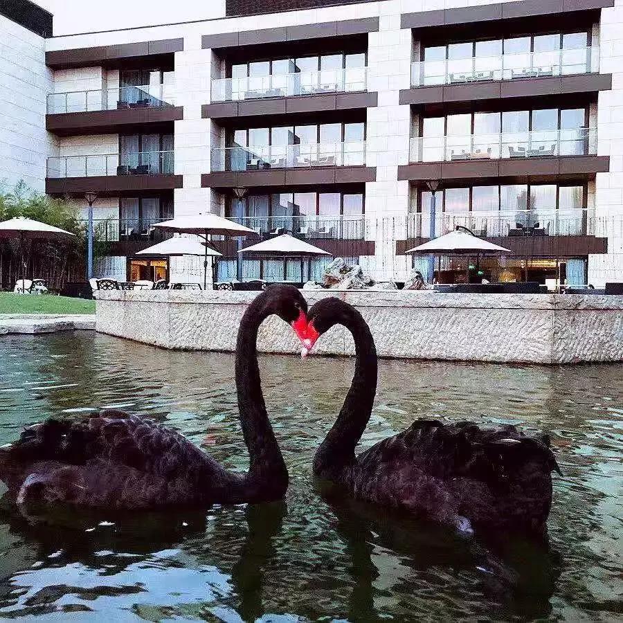 南京总统府圣和府邸酒店,圣和府邸酒店可以看到总统府吗