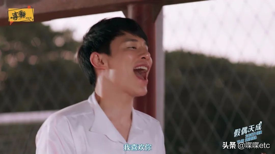 一集上瘾，这部9.2分腐剧甜到上头！