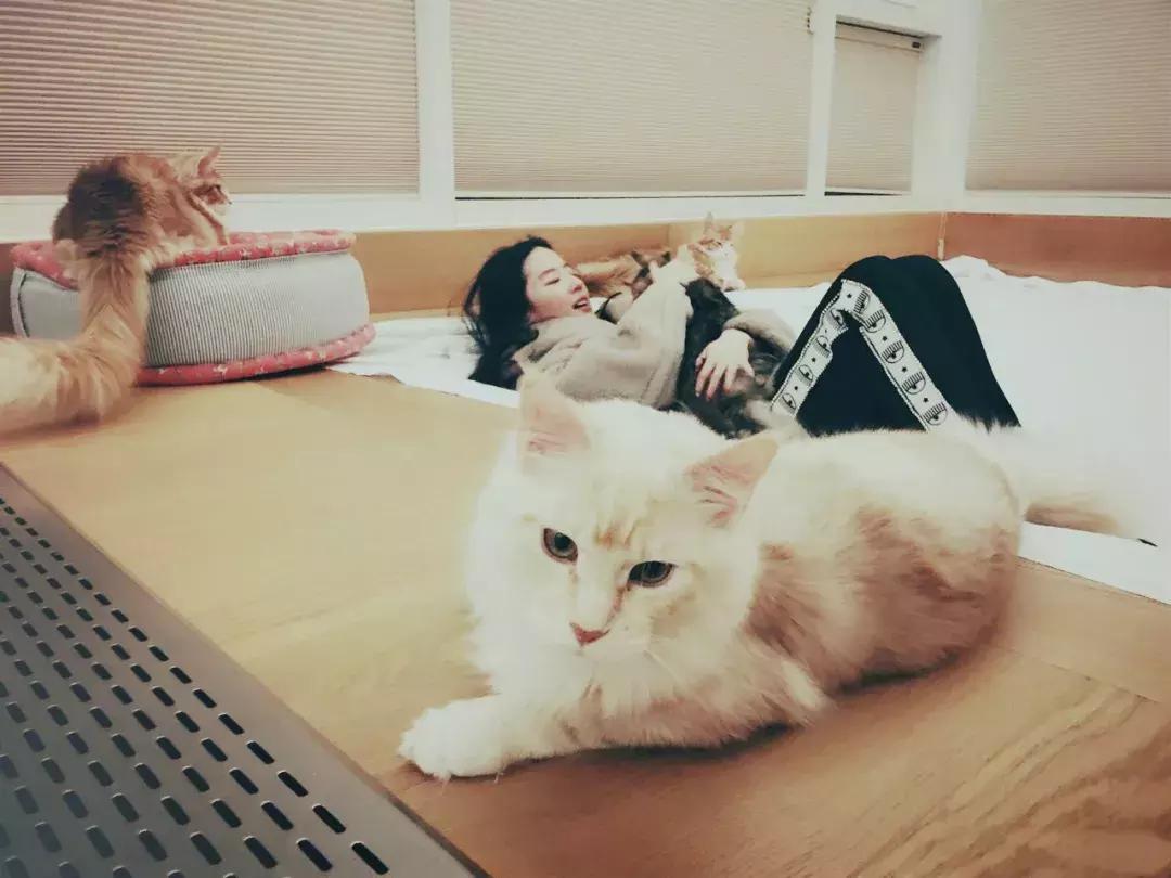 刘亦菲晒出游美照超迷人,32岁刘亦菲久违晒出最新美照