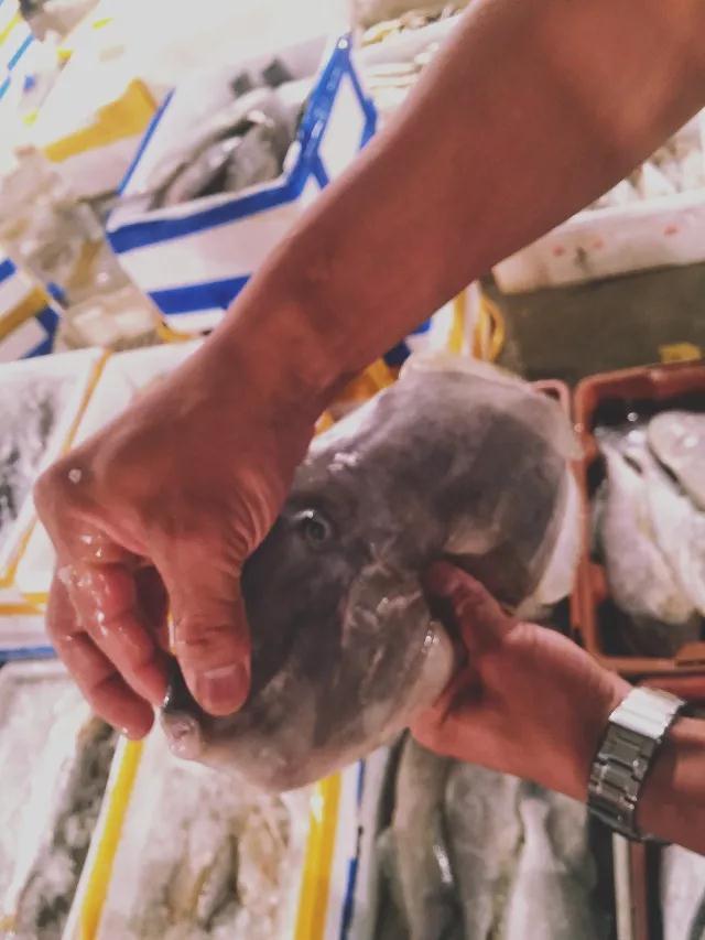 海南海边码头海鲜,海南海鲜开海