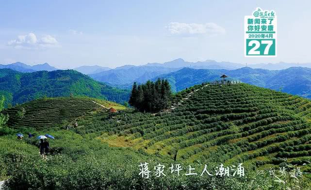 新闻来了完整版,新闻来了直播