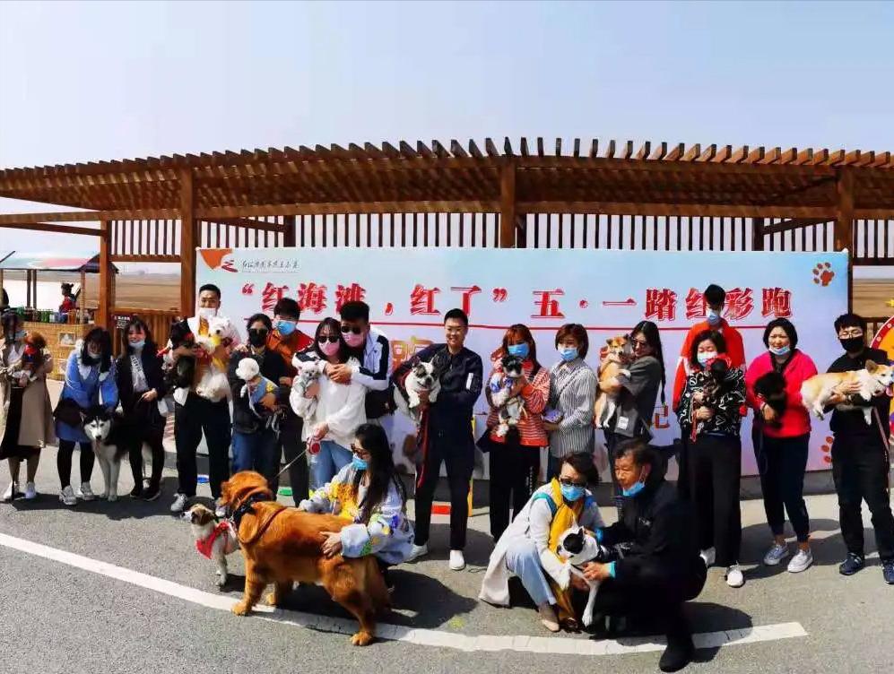 盘锦红海滩五一好玩的地方,盘锦最美红海滩网红打卡地