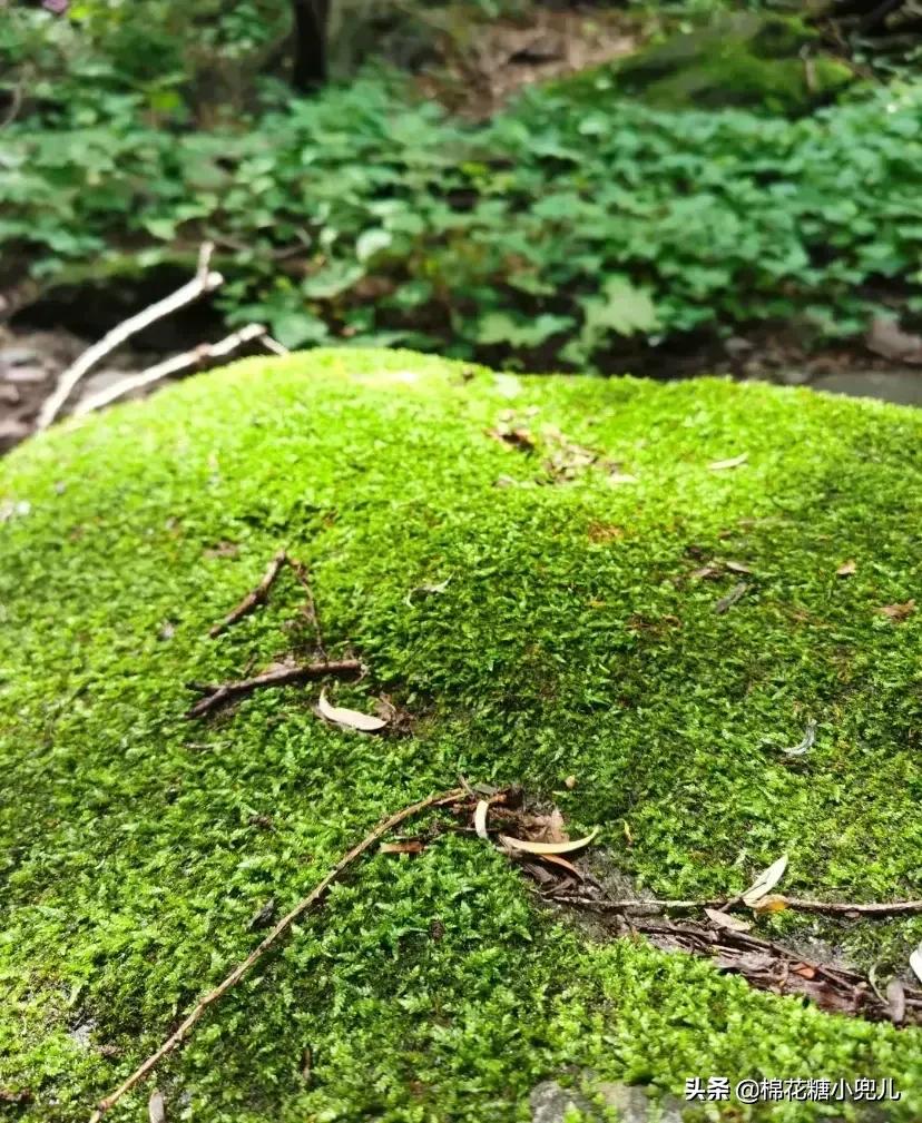 北京双龙峡自然风景区图片大全,北京双龙峡自驾游