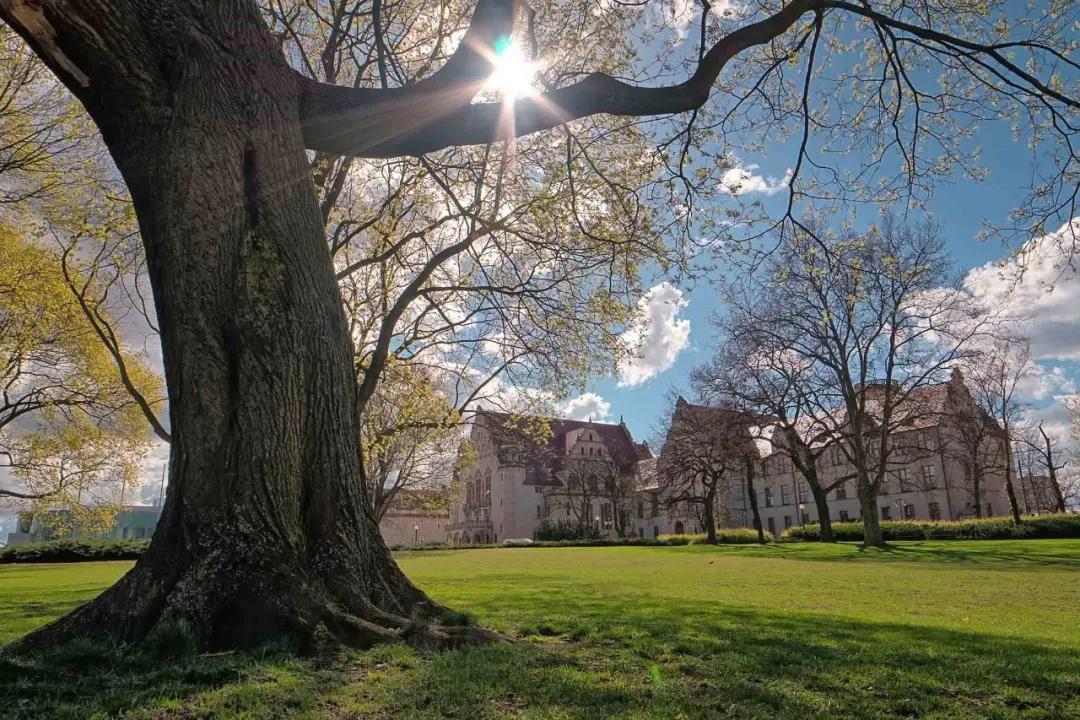 波兰大学专业排名,波兰有哪些著名的大学