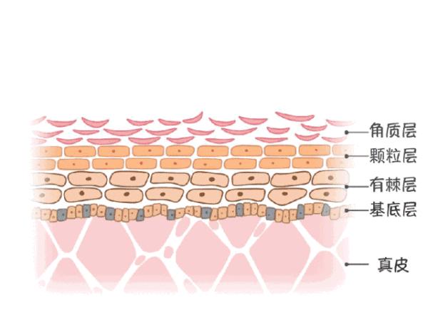 春季干燥保湿喷雾的正确使用方法,保湿喷雾正确使用方法油皮