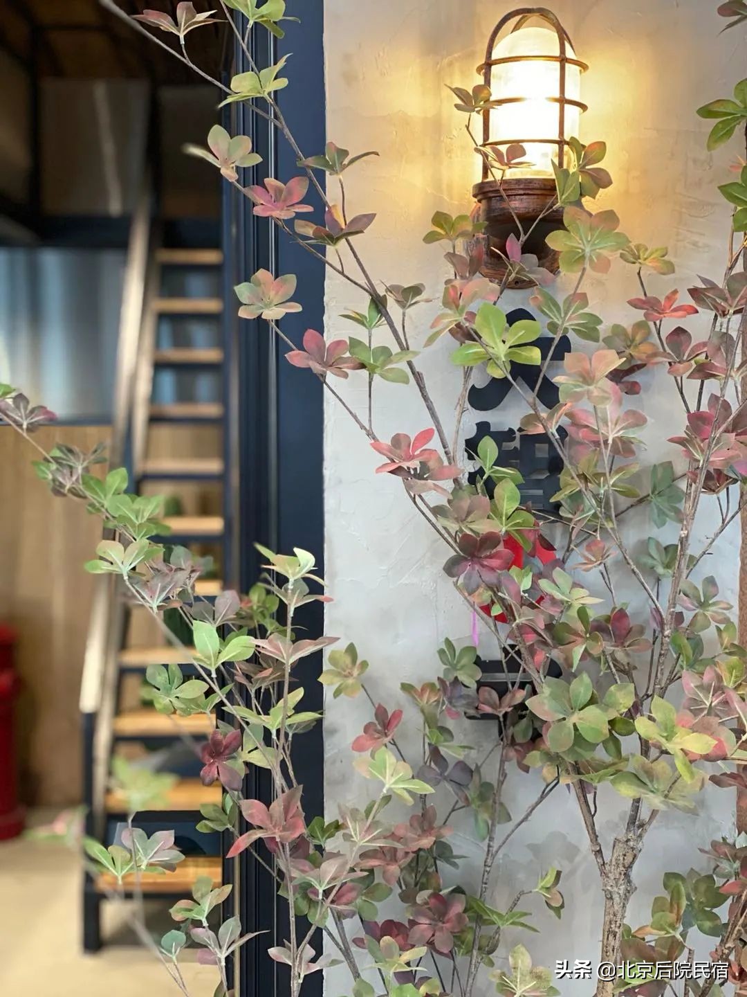 后院·厂仓|大智の宅,住进80后怀旧故居