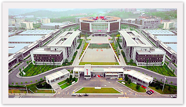 谋划发展格局,谋划进一步全面发展