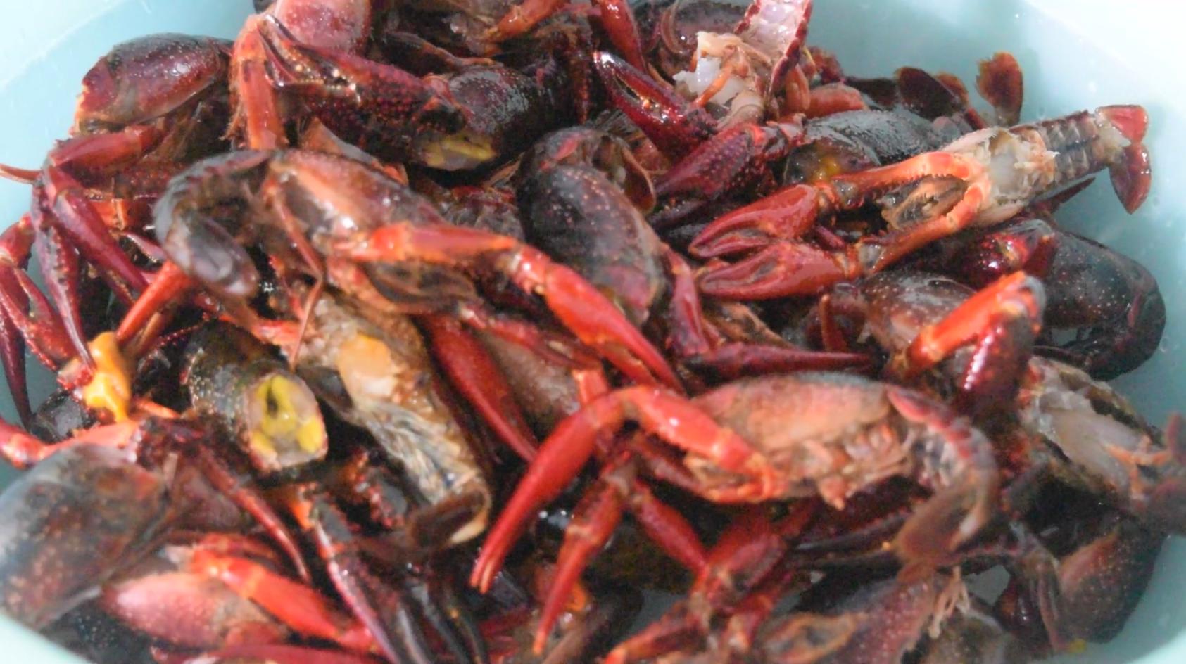 盱眙十三香小龙虾的正宗做法,小龙虾的正确做法和清洗方法