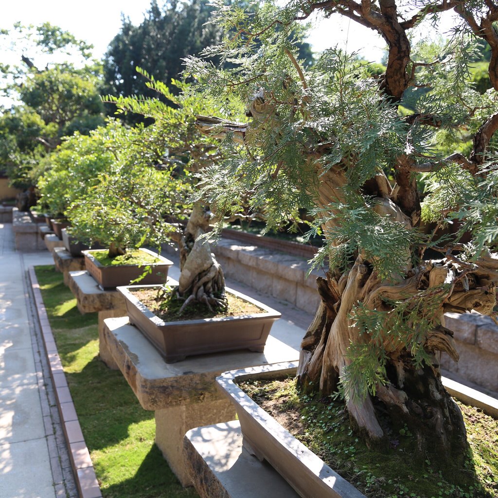 香港志莲净苑地图,香港志莲净苑好玩吗