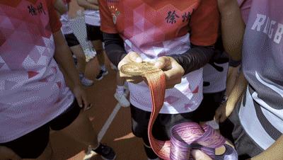 王婉钰徐州,王婉钰最佳突破奖