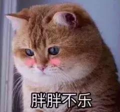 泰国办理电子落地签需要准备什么,泰国电子落地签如何办理