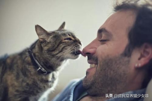 猫咪老是舔猫是嫌弃自己太脏了吗,假舌头舔猫咪的时候猫怎么想的