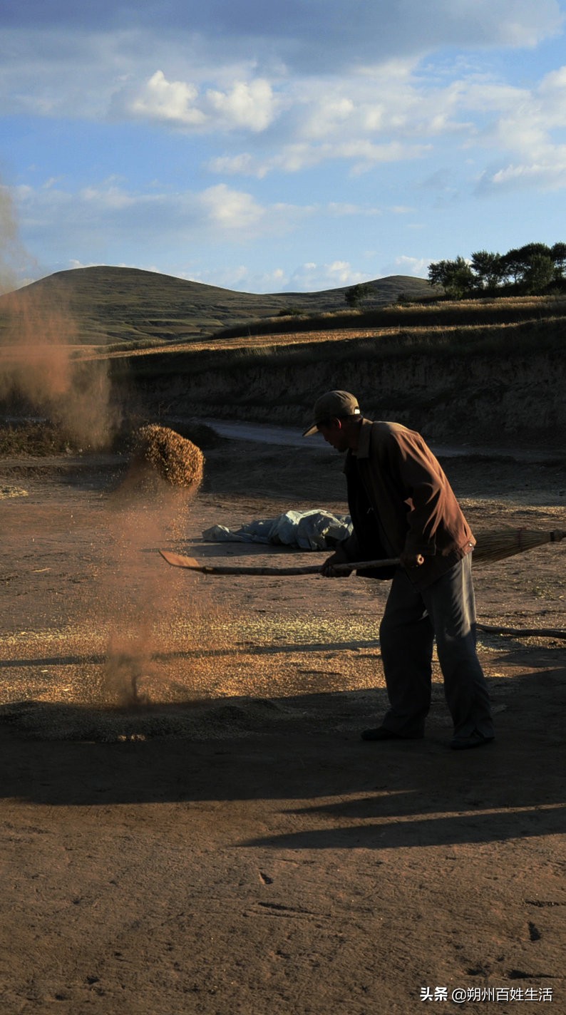 朔州：张耀元宅家随笔五则