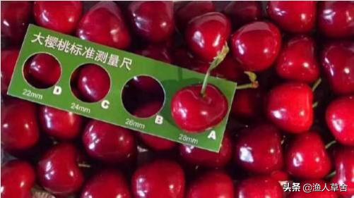 大连特色农产品有哪些,辽宁省农产品地理标志产品都有啥