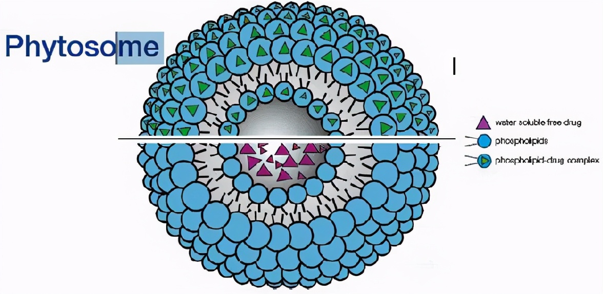 葡萄籽胶原蛋白淡斑,平价美白葡萄籽