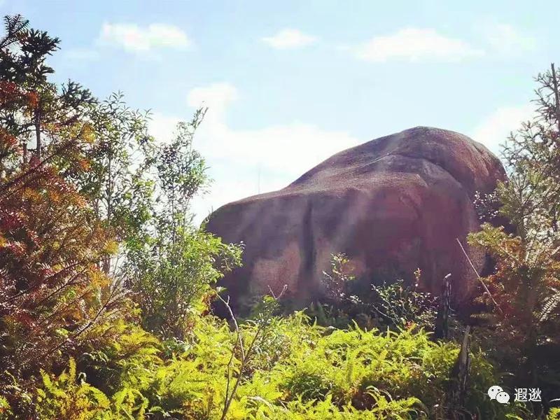 温州居然有这么美的小众景点,温州青龙山风景区在哪里