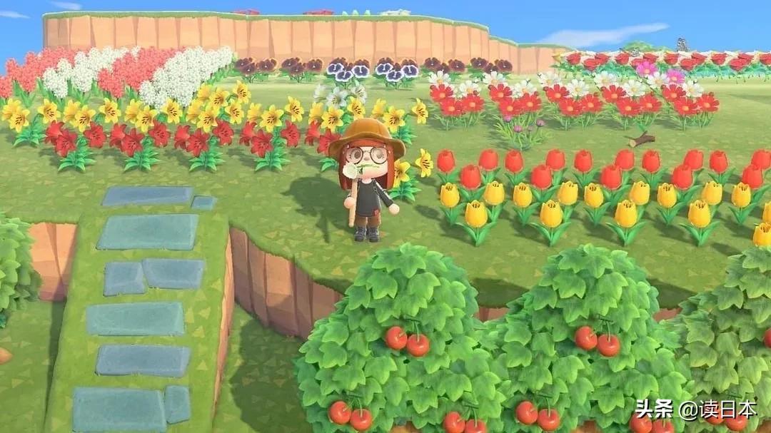 动物森友会的细思极恐的传闻,动物森友会大揭秘
