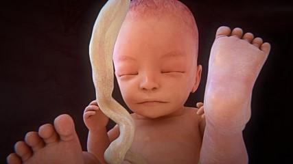 38周胎儿不长怎么办,38周到40周胎儿不长了