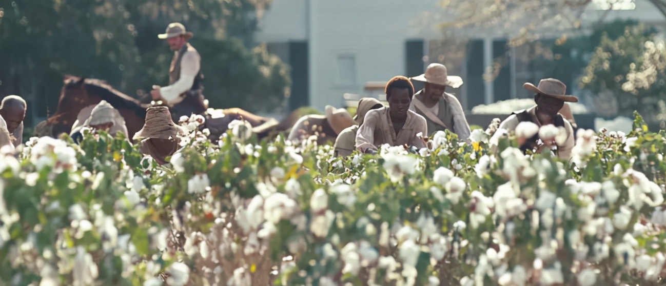 黑人奴隶眼中的白人：他们脑子有病吧，一言不合就“互相伤害”