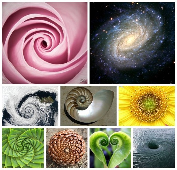 飞蛾扑火原因简短,飞蛾为什么扑火用科学现象解释