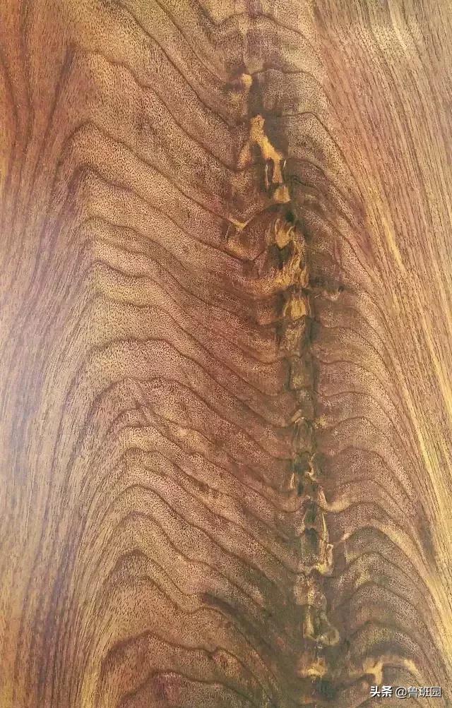 天然木皮源于大自然的美感,天然木皮的美