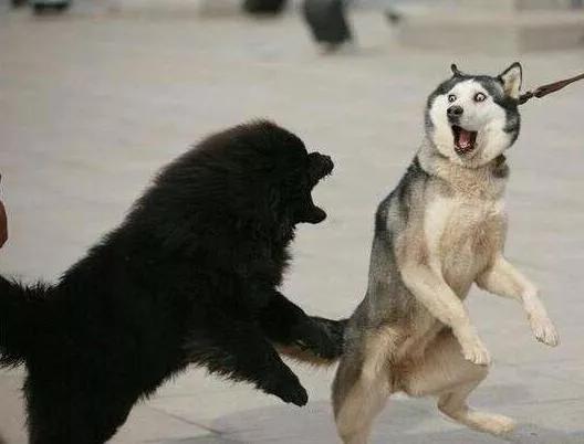 华为ax3pro为啥拼多多这么便宜,拼多多购物之华为ax3