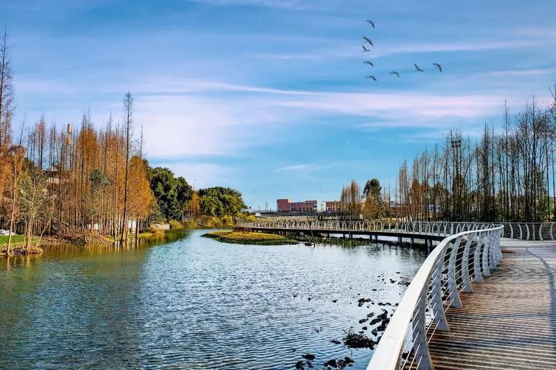 世警会来到成都吗,世警会成都推介