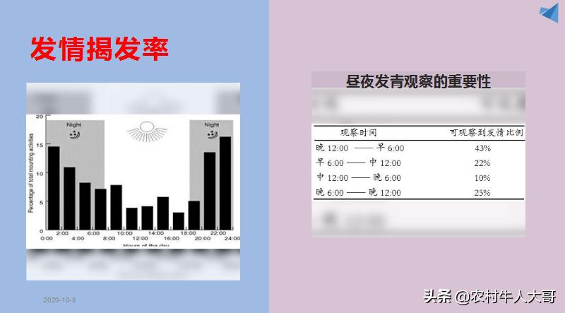 奶牛产后子宫净化保健实施方案ppT课件