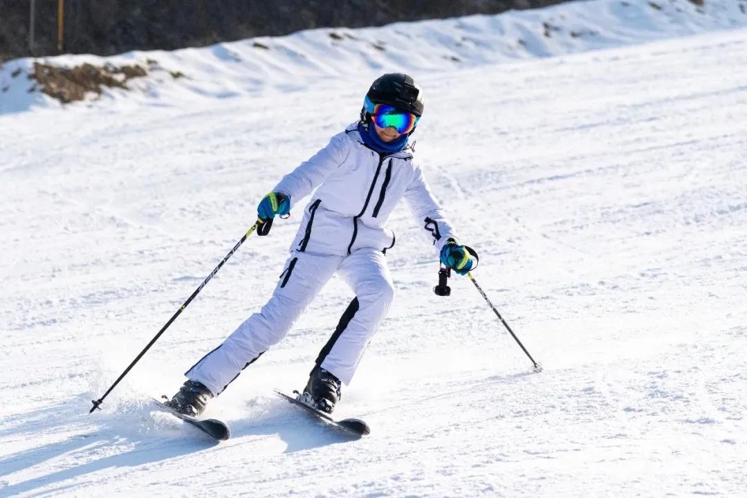 萌翻了原视频,萌翻了