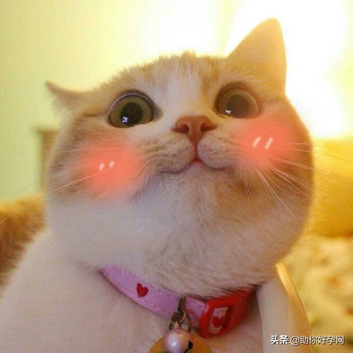 男性必须知道的8个妇科知识,妇科常识知识大全图片