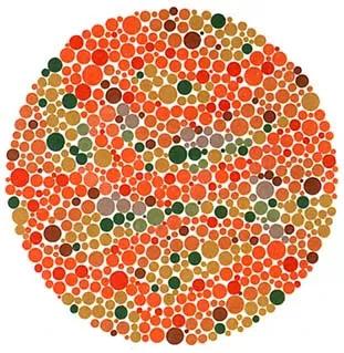 色盲看到真实的世界,色盲眼里的世界是怎么样的图片