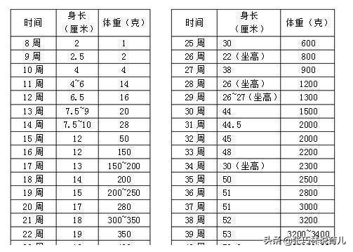 怀孕期间怎么能让孩子长高个子,孕期如何让宝宝快速长高