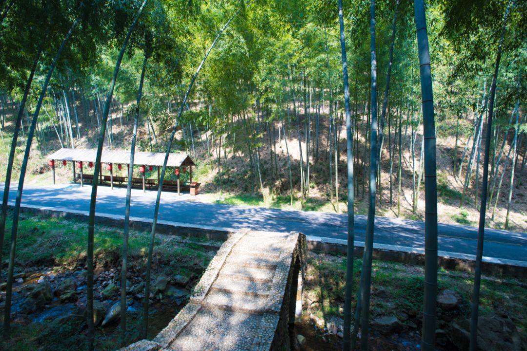 瀹滃叴绔规捣璇︾粏鏀荤暐,瀹滃叴绔规捣娓稿鏀荤暐