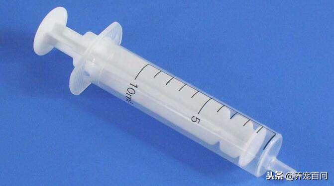 狗狗腹泻呕吐最快缓解方法,狗狗喂了螃蟹后呕吐拉肚子