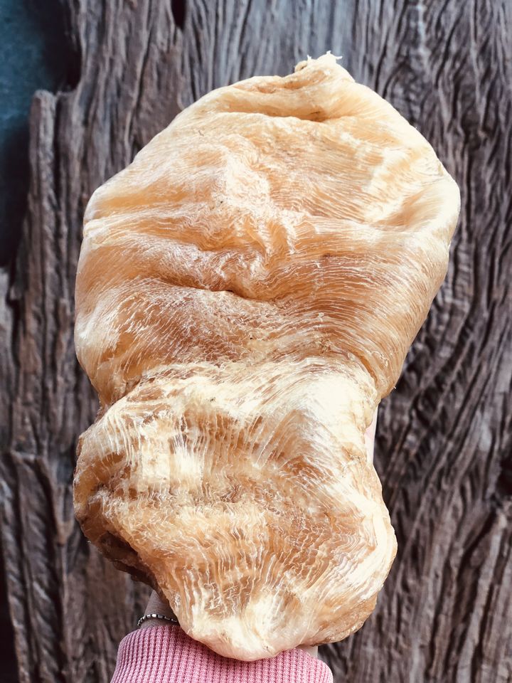 鲍参翅肚黄花胶,鲍参翅肚黄花胶的功效