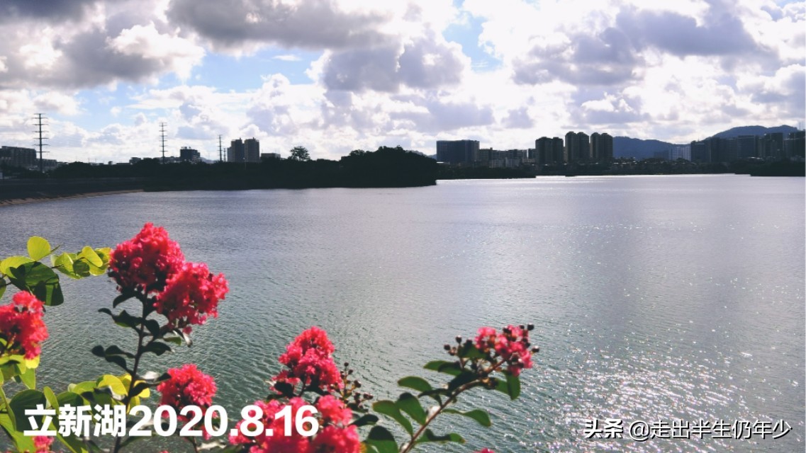 我眼中的深圳地图,我眼中的深圳