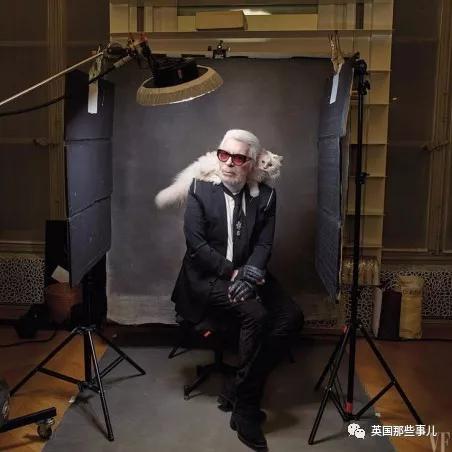 老佛爷的猫继承多少遗产,老佛爷去世后财产留给了一只猫